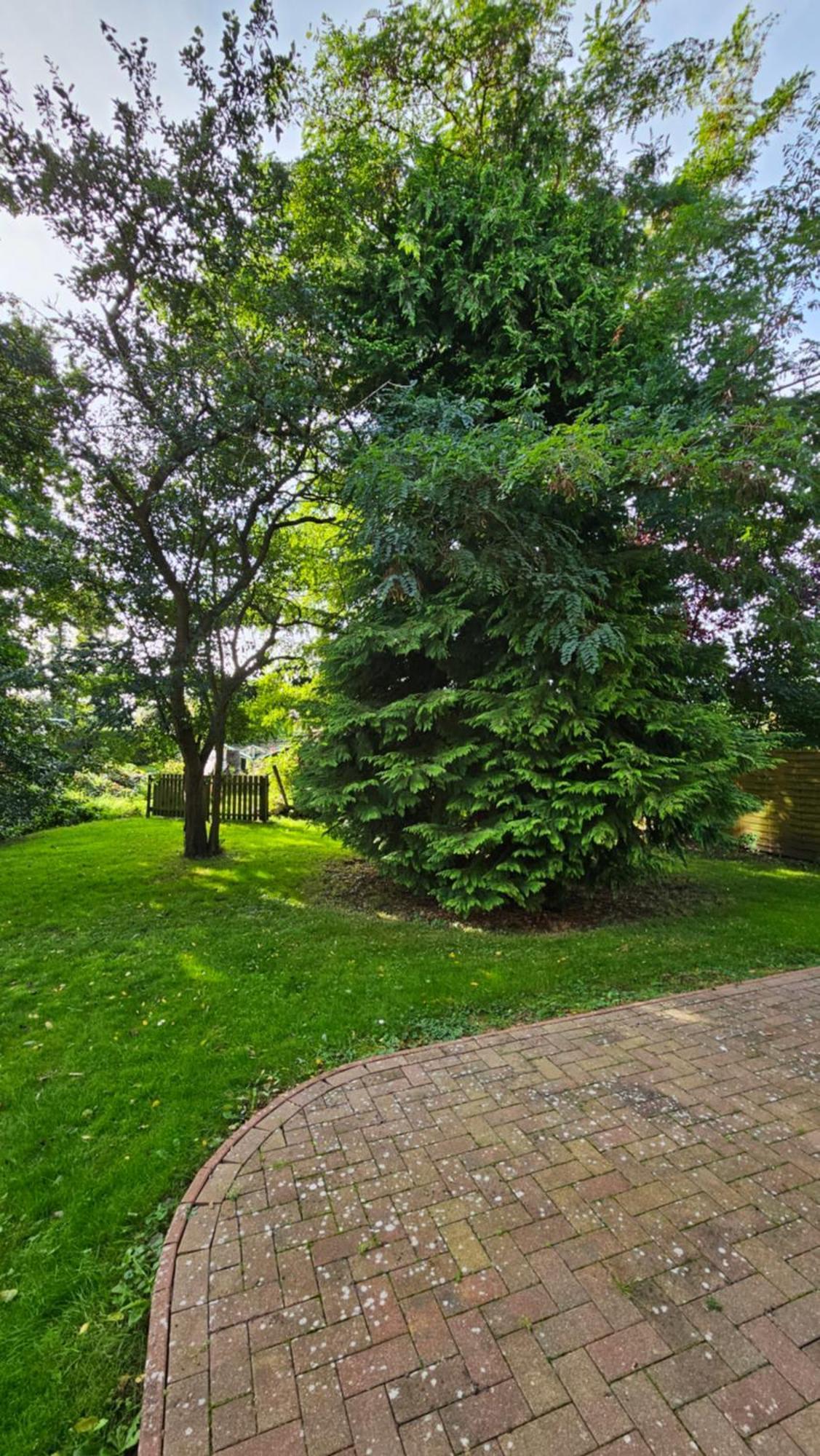 Usedom Suites Zinnowitz Buitenkant foto
